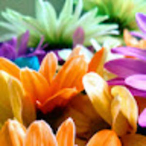 Meet your Posher, Shaelynn